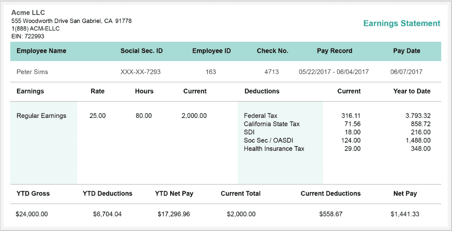 Paystubs.net paystub template